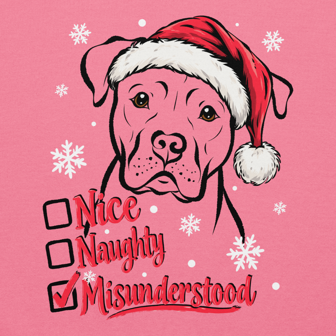 Nice, Naughty, Misunderstood, Classic Hoodie