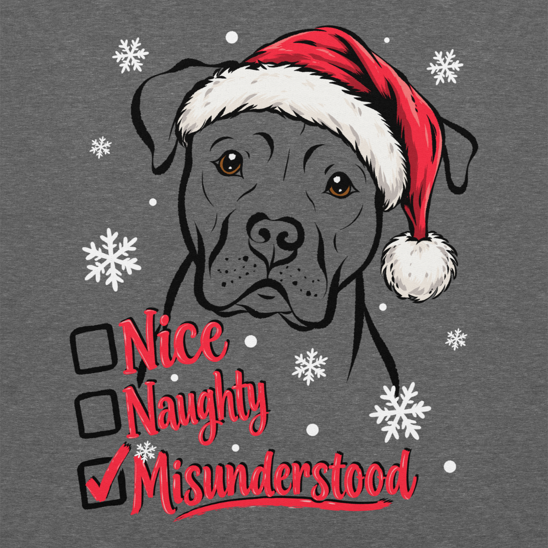 Nice, Naughty, Misunderstood, Classic Hoodie