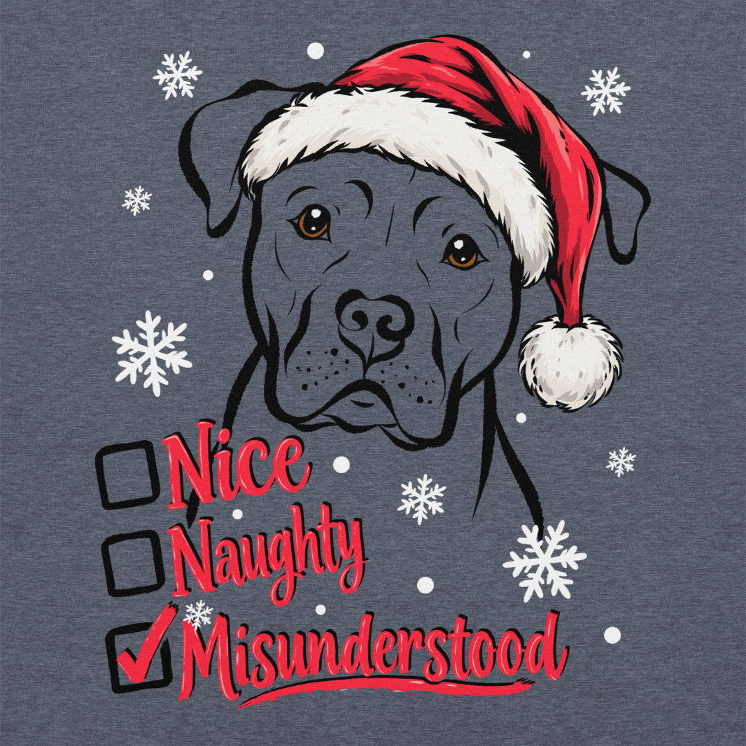 Nice, Naughty, Misunderstood, Classic Hoodie