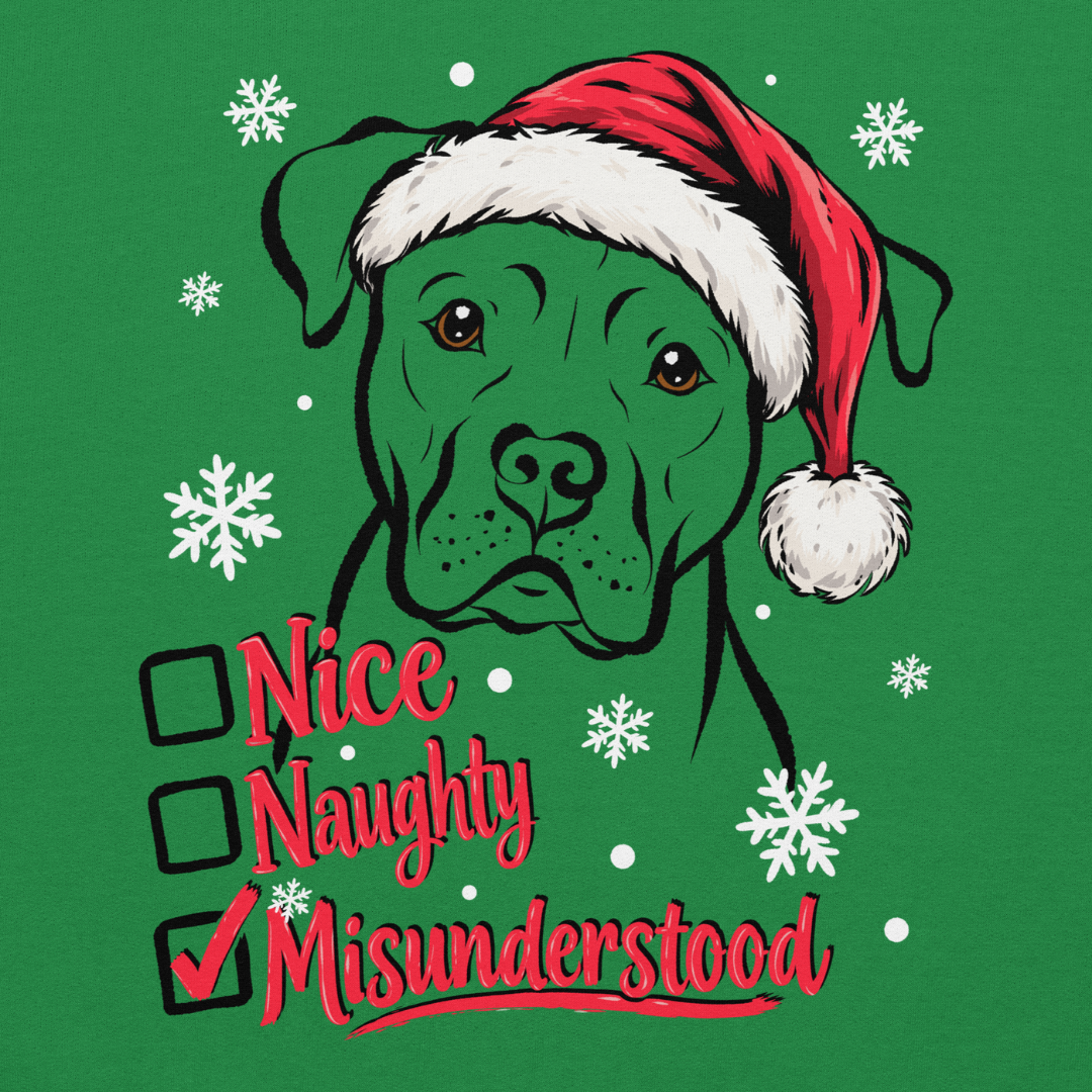 Nice, Naughty, Misunderstood, Classic Hoodie