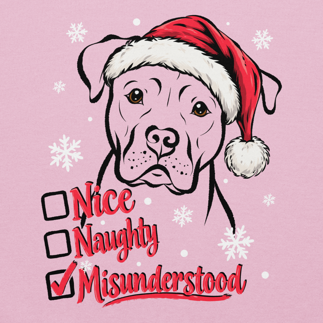 Nice, Naughty, Misunderstood, Classic Hoodie
