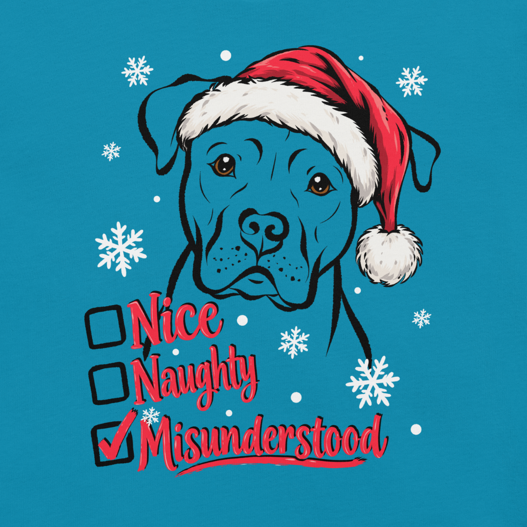 Nice, Naughty, Misunderstood, Classic Tee