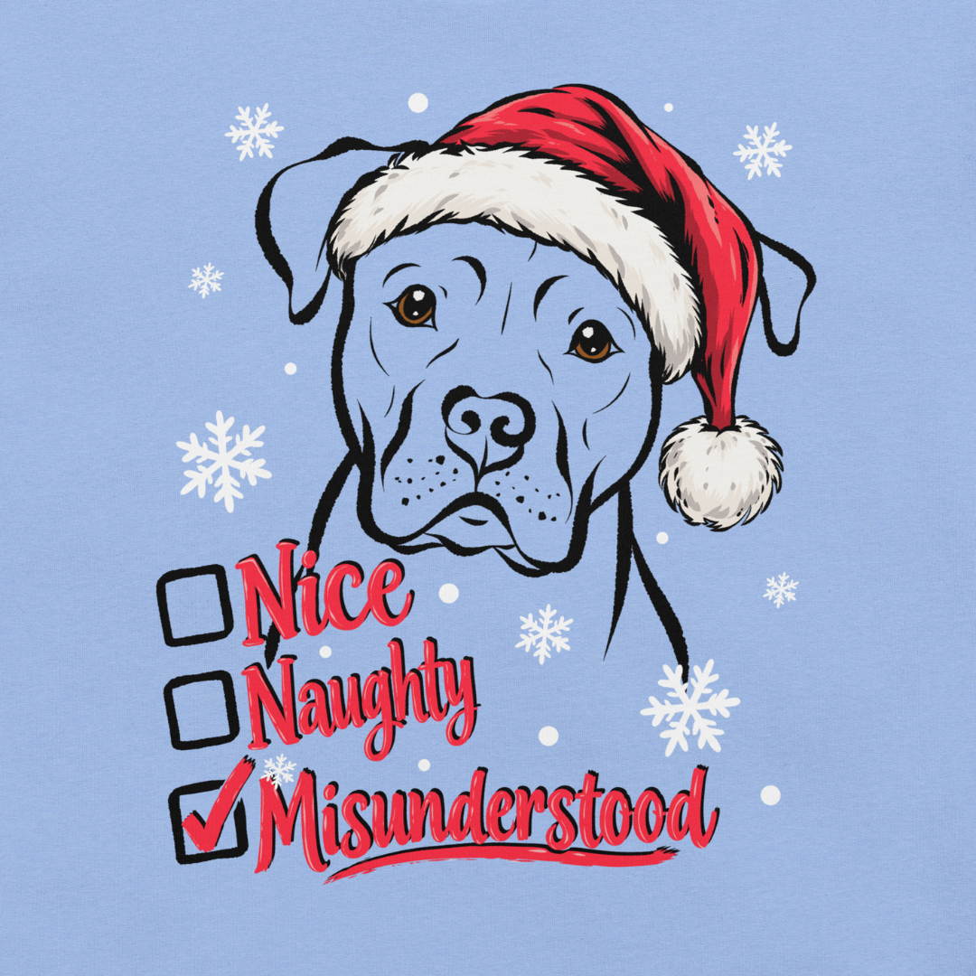 Nice, Naughty, Misunderstood, Classic Tee