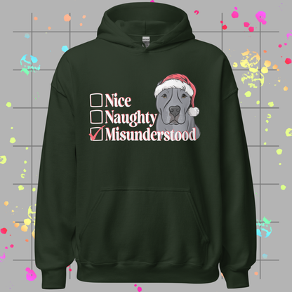 Nice, Naughty, Misunderstood Unisex Hoodie
