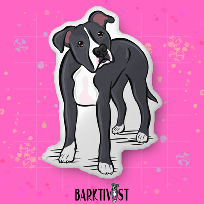 PAWsonalized Custom Pillow