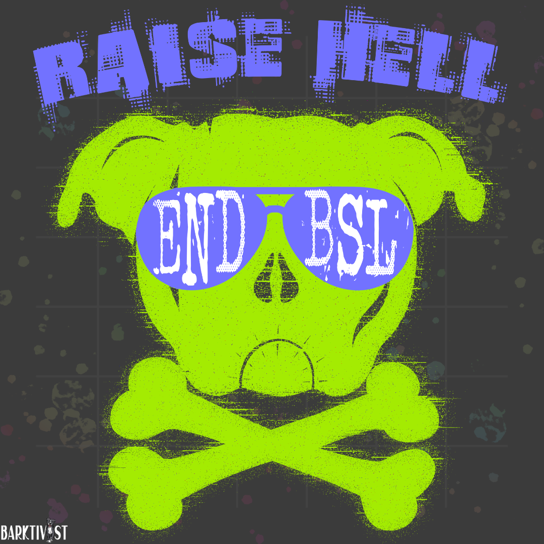Raise Hell End BSL Classic Tee