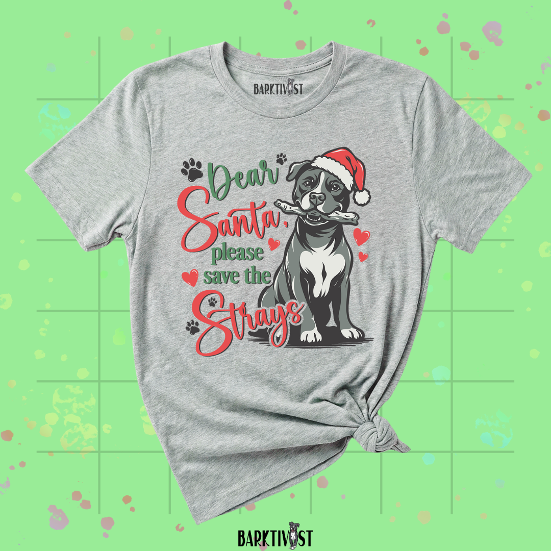 Dear Santa, Classic Tee