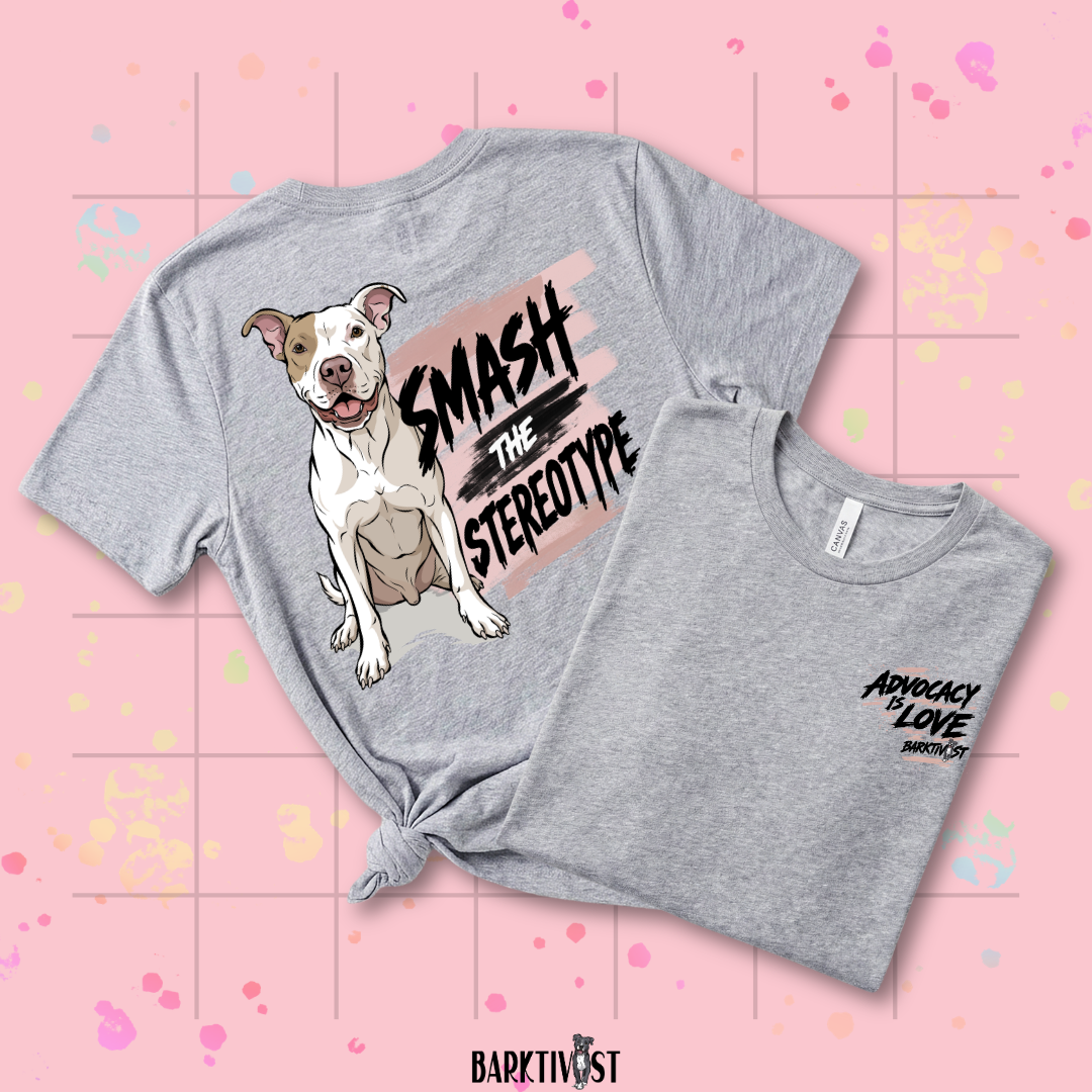 Smash the Stereotype Classic Tee