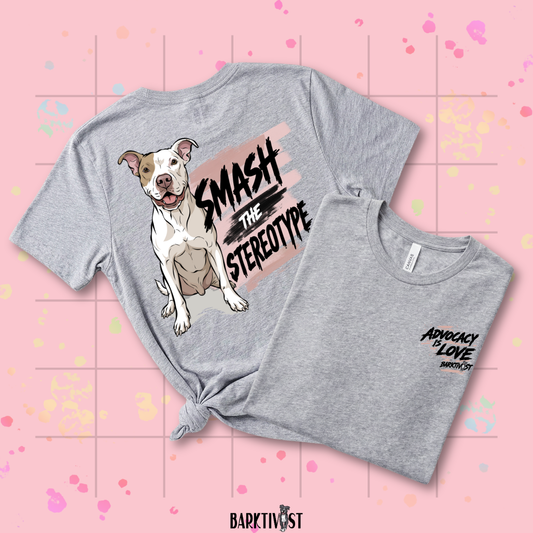 Smash the Stereotype Classic Tee