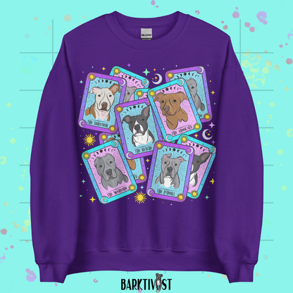 The Misjudged Oracle Classic Sweatshirt