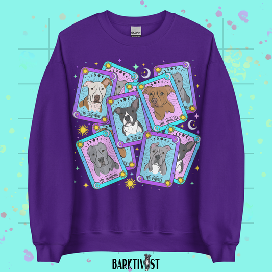 The Misjudged Oracle Classic Sweatshirt