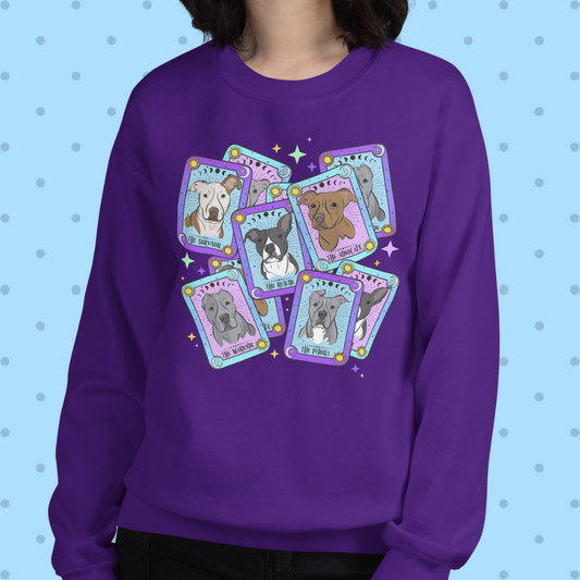 The Misjudged Oracle Unisex Sweatshirt