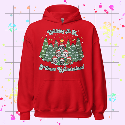 Pitmas Wonderland Unisex Hoodie