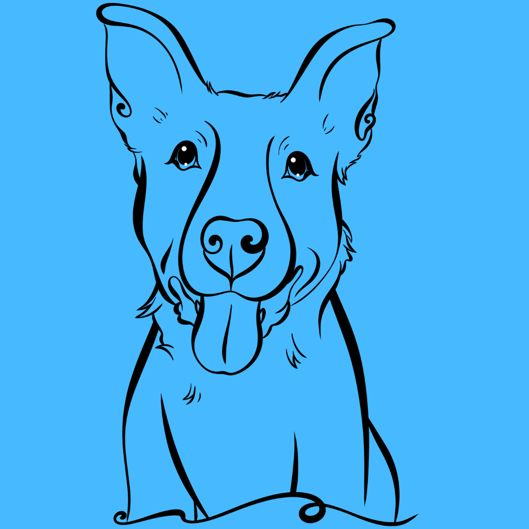 TAILored Lines Portrait